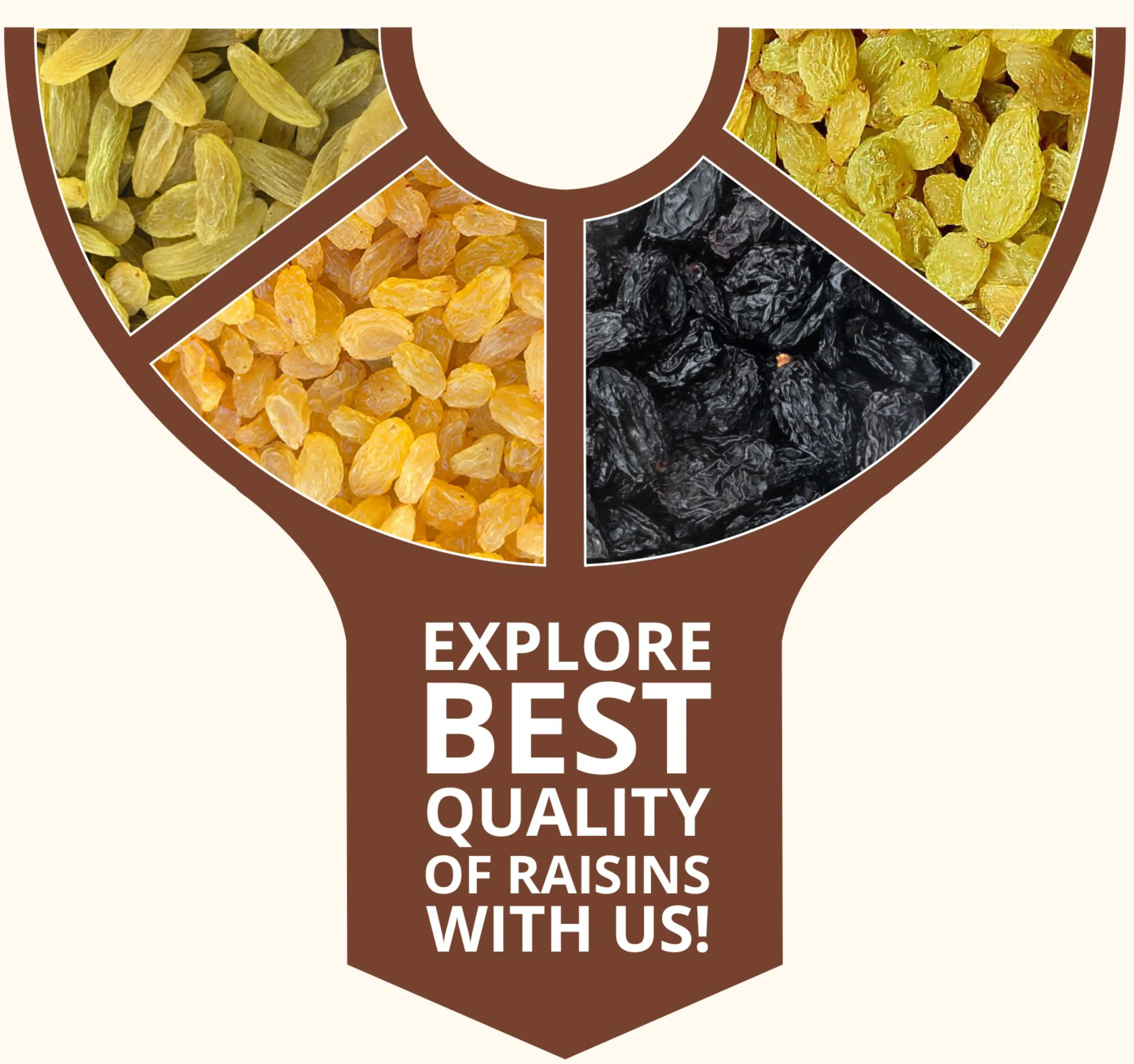 black raisins supplier in india